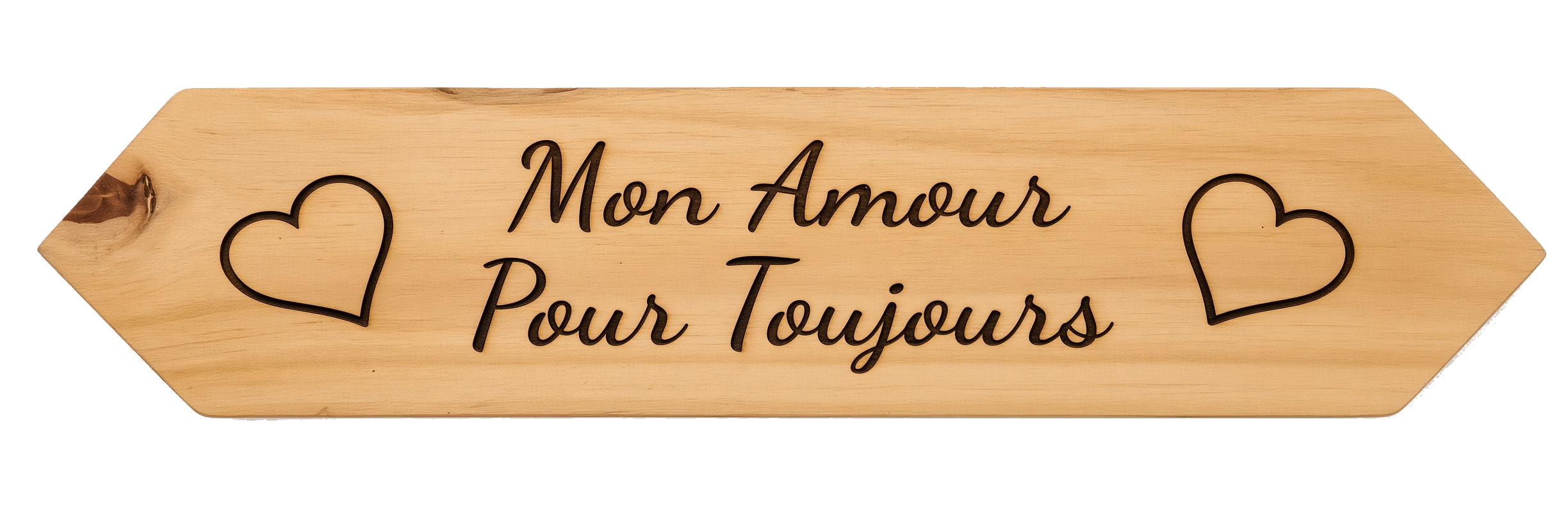 Mon Amour Pour Toujours